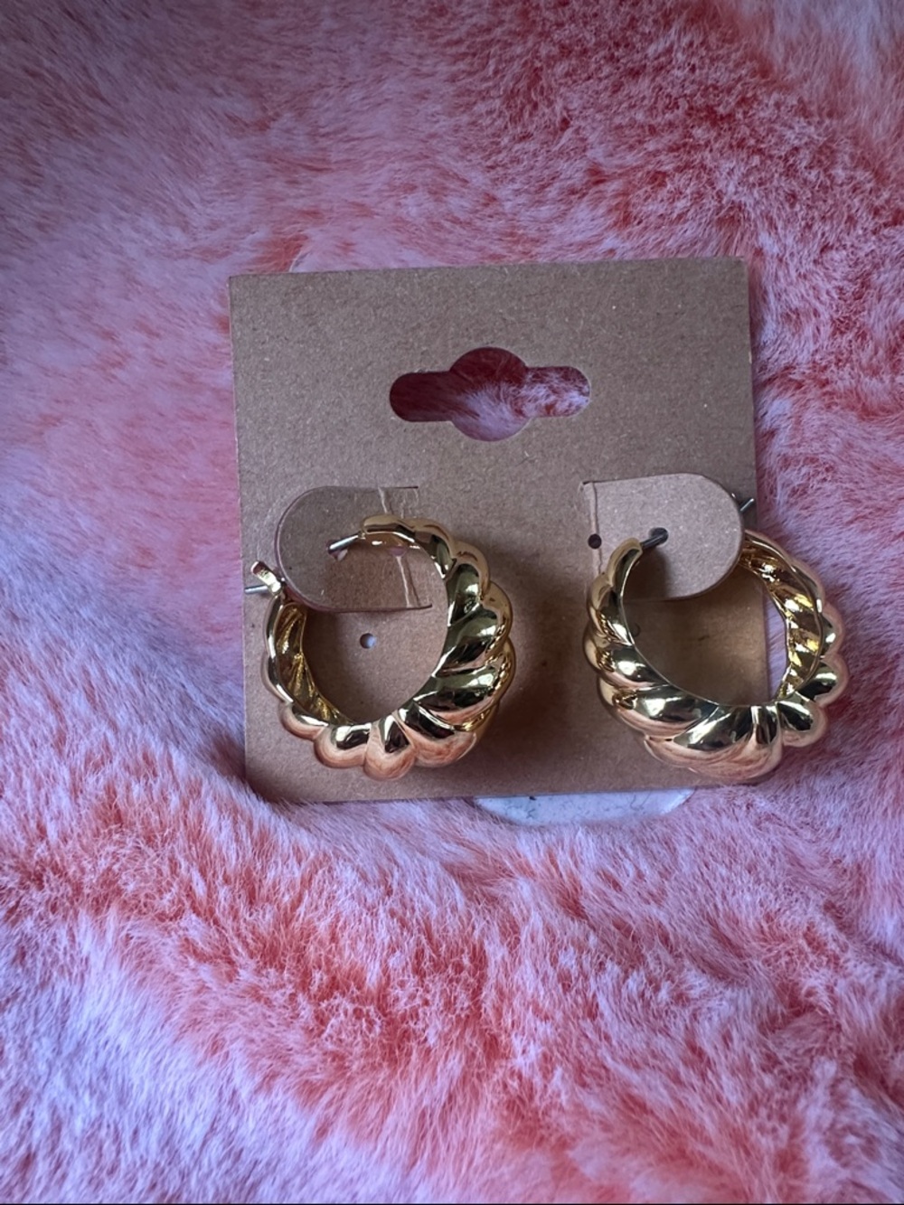 NWT Nordstrom Rack Croissant Style Earring $64MSRP